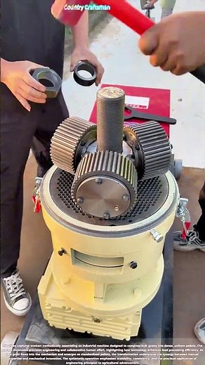 Grain to Gain: How Machines Transform Harvest into Uniform Pellets