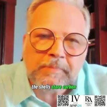 Resilient Alpha Mussels—Your Sustainable Superfood Power! 🐚🌱 #health #nutrition #feed