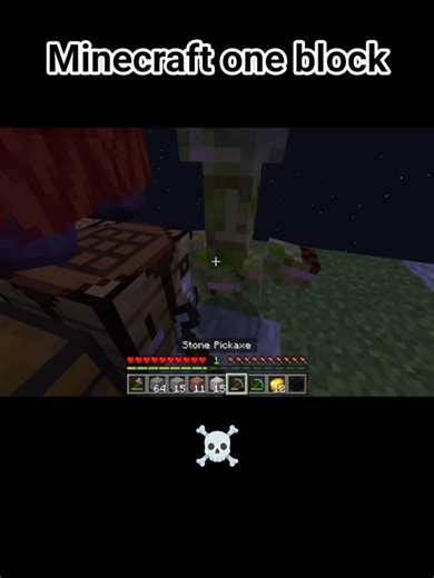 I Build house in Minecraft one block world #Minecraft #world #one block