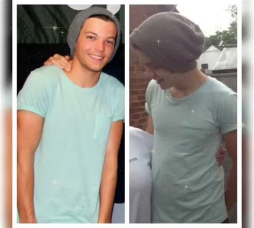 Are They Twins or Married? Exploring the Louis and Harry Connection