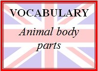 Vocabulario en inglés: Partes de los animales — Saber es práctico