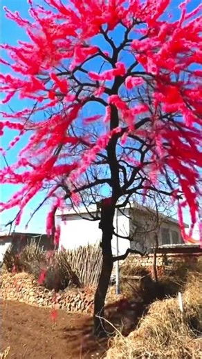 Amazing Creative Music with Calculator 🎶🔥 | You Won’t Believe This Sound!