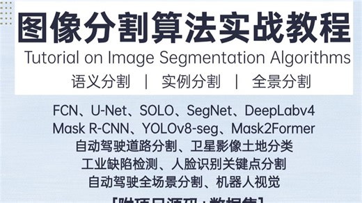 2026图像分割方向怎么学能快速出成果？通俗易懂讲解UNet/Deeplab/Mask2former/SAM图像分割算法！机器学习/研究生/计算机视觉/深度学习