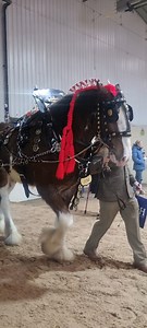 800K views · 22K reactions | Behind the scenes footage from the...