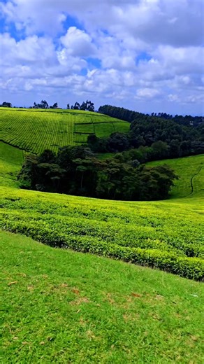 Discover the Beauty of Kenya's Landscape