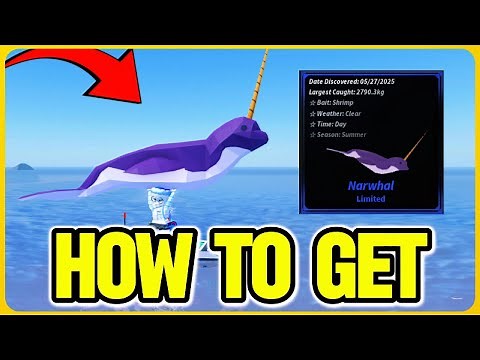 How To Get the Narwhal in Fisch | Full Guide