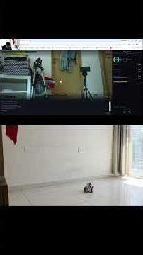 Maya-Prana: Robot with a Vedantic Mind | Antahkarana Demo Part 1 | Paper 9 of 9 #lordnarasimha