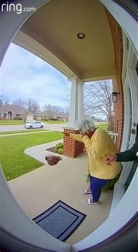Wind Blows Grandma’s Wig Away