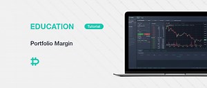 Portfolio Margin - Deribit Insights