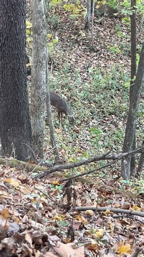 18K views · 127 reactions | A little wind calls for some ground hunting… young guy got the pass | Barstool Outdoors | Facebook