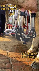 5.8K reactions · 324 shares | Milking Machine Swat | Available in KPK...