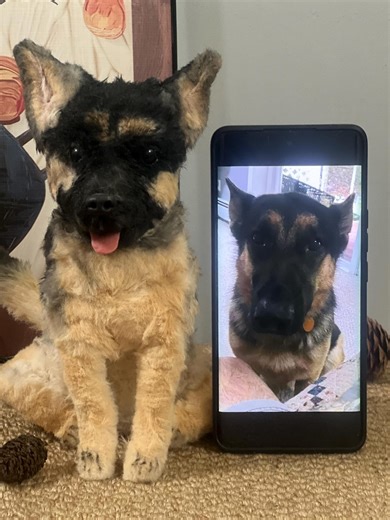 Custom German Shepherd Plush From Photo – Realistic Handmade Pet Replica | Personalized Stuffed Animal by Petychery - Etsy