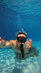 No Gills, No Problem 🐠 #ocean #snorkeling #underwater #beach #travel | Lung Tank