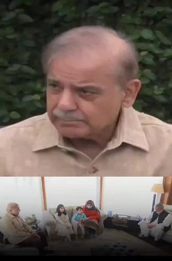 PMLN OFFICIAL on TikTok