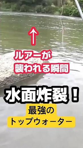 最強に釣れるトップウォータールアー！！！！【バス釣り】【初心者】【スモールマウスバス】
