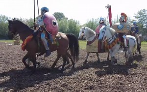 （罗马）帝国的骑兵 Late roman cavalry