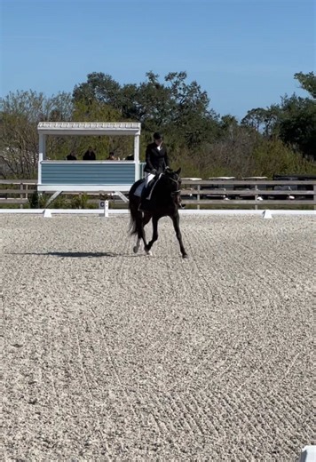 Tessa’s first recognised dressage show #CapCut