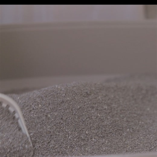 Watch Boxie Lightweight Litter on Amazon Live