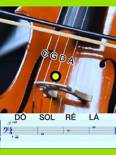 🔴Cello Tuner C(dó) G(sol) D(ré) A(lá) [440HZ Standard]