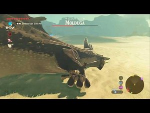 Zelda: Breath of the Wild - first encounter with mini boss Molduga