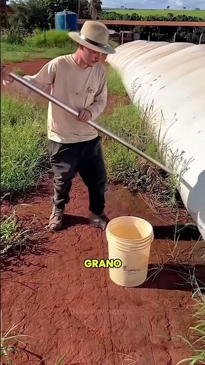 The agricultural technique that changed everything