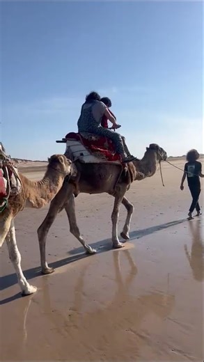 Essaouira Travel Guide | Morocco Coastal Escape #travelmorocco #Essaouira #MoroccoTravel