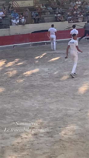 Le travail du gardian est essentiel pour le bon déroulement d’une course camarguaise où il prend parfois des risques. Ce jour à Sommières Mehdi Ait Idir gardian à la manade Bon | Jacky Simeon