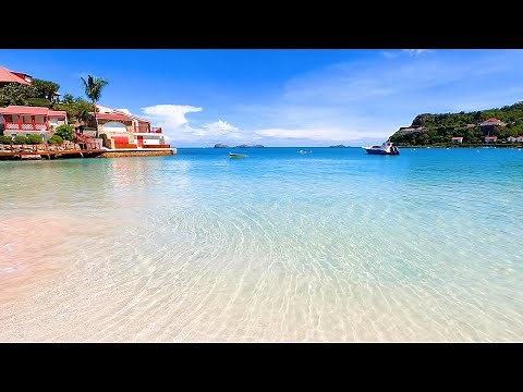 Beach View: 3 Hours of Tropical Beach Bliss & Gentle Waves (4K Video)