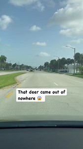 Crazy #reels | Splendid Reels