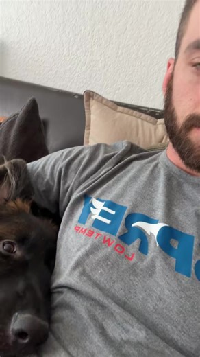 Jarvis is ill 🤒 please wish him well in the comments section | German Shepherd Puppies By Ronda Smith