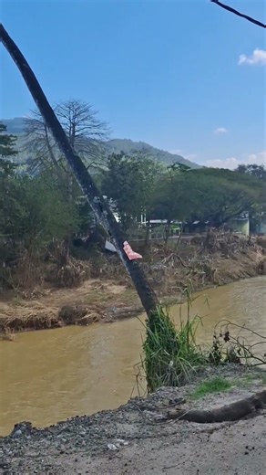 University of peradeniya#uop #viralvideo #river #youtube #youtubeshorts #2025#