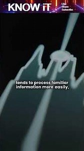 What is the Illusory Truth Effect?