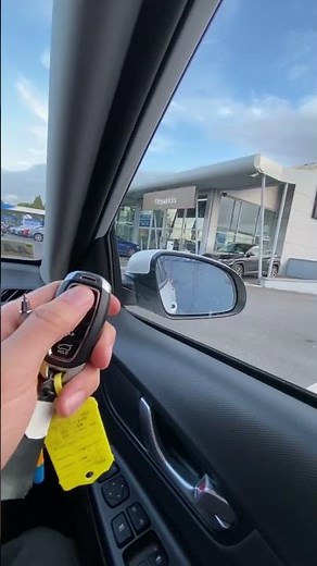 Why Hyundai or Kia wing mirrors wont fold out #hyundai #kia #why