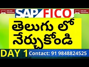 DAY 1- తెలుగులో SAP FICO CLASS | SAP FICO ONLINE TRAINING | SAP FICO IN TELUGU