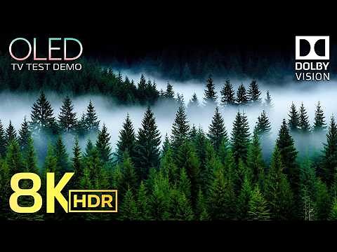 8K MAX RESOLUTION HDR | Dolby Vision™ 120FPS Screen Challenge