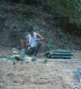 21K views · 540 reactions | The Kind Man make traps in the wild natural forest #fyp #reels #usa | Taniyah Hancock | Facebook