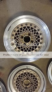 *mint* 16x7 Epsilon mesh. Rare step lip configuration