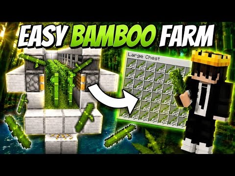 Built OP BAMBOO Farm in Minecraft SMP