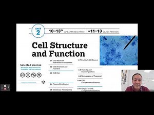 Unit 2 AP Biology Topics 2.1 - 2.3 Cell Structure and Size