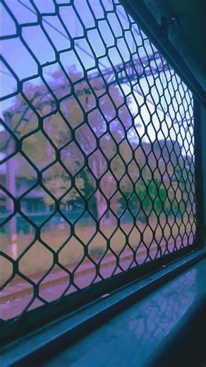 Mumbai Lokal #shortvideo #travel