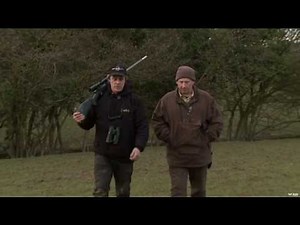 Hunting Deer in England