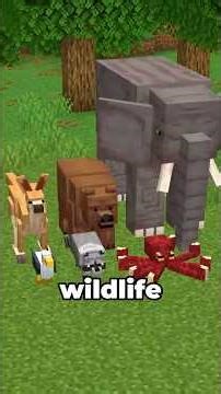 the wild update we SHOULD have got...