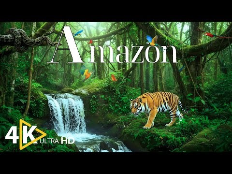 Amazon in 4K Ultra HD | Nature Documentary with Relaxing Music | Nature 4k