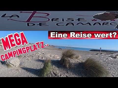 Direct by the Sea ❤️ Flamingos inclusive ❤️ Camping La Brise de Camargue 👉 Saintes-Maries-de-la-M...