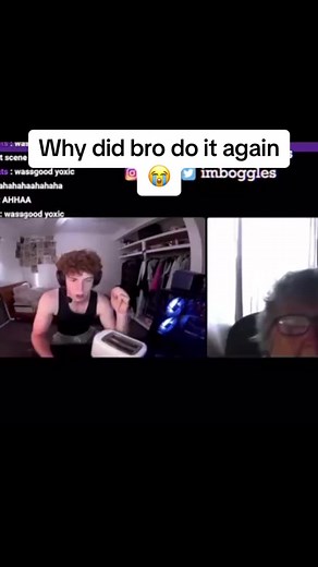 Boggles Toaster Aftermath Explained by Twitch Streamer