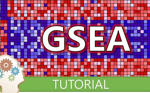生物信息学 | 如何进行 RNA-seq 基因集富集分析 (GSEA)