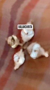 Fabric: printed organza with mirror and zari work in all over body To place an order, please DM or WhatsApp on 7439774713 No return and No exchange (except Any defected product) #sareelovers #organza #sareestyle #ethnicwear #reelitfeelit #reelsinstagram #instalovers #followforfollowback #follow4followback #followersinstagram #kalangkrita | Kalangkrita | Facebook