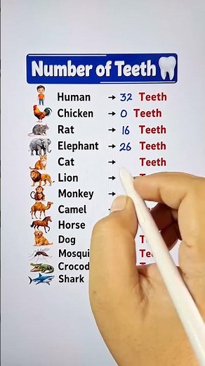 Number of Teeth in different organisms. #neet2026 #anatomy #sciencereels #neetaspirents #medico