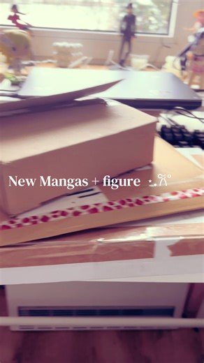 New Manga and Figure Haul Showcase