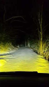 Video of Lower Glady Dispersed Campground, WV from Tom W.